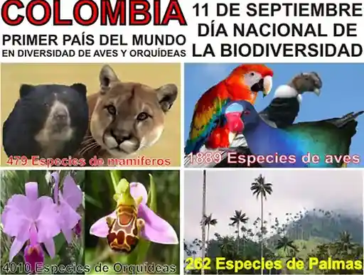 Biodiversidad Colombia