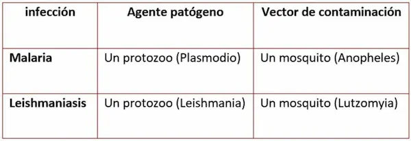 Enfermedades infecciosas