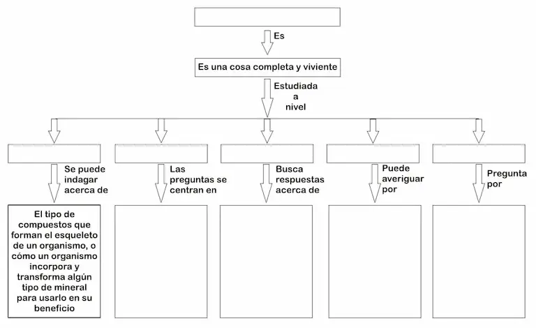 Propiedades de los seres vivos