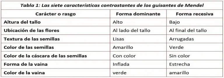 Leyes de Mendel