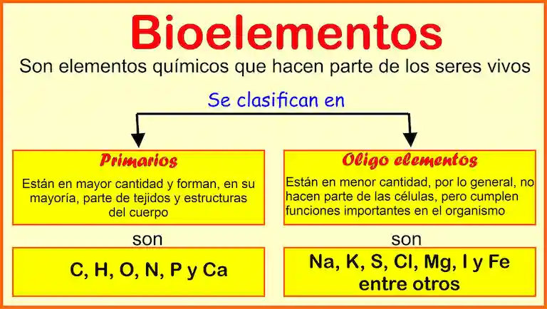 Ejemplos de bioelementos.