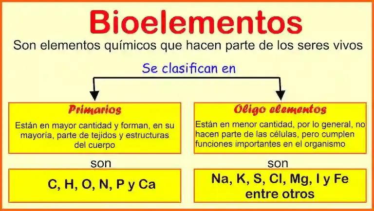 Ejemplos de bioelementos.
