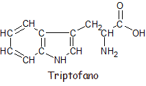 Fórmula estructural del triptofano