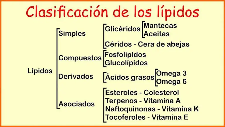 Clasificación de los lípidos.