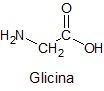 Estructura de la glicina
