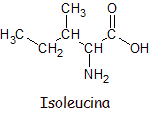 Molécula de Isoleucina