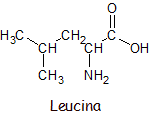 Representación de la Leucina