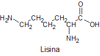 Estructura de la Lisina
