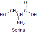 Molécula de serina
