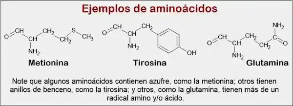 Proteínas