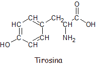 Fórmula estructural de la tirosina