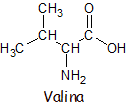 Representación de la molécula de valina