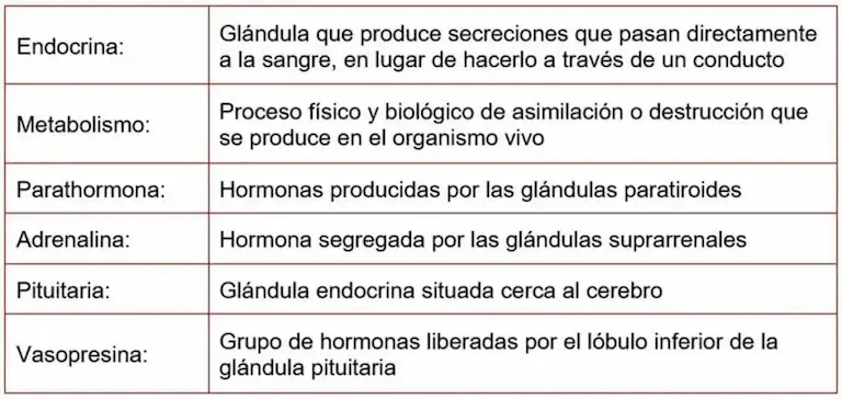 Las hormonas