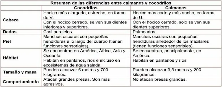 resumen de las diferencias entre caimanes y cocodrilos