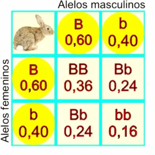 Genética de poblaciones