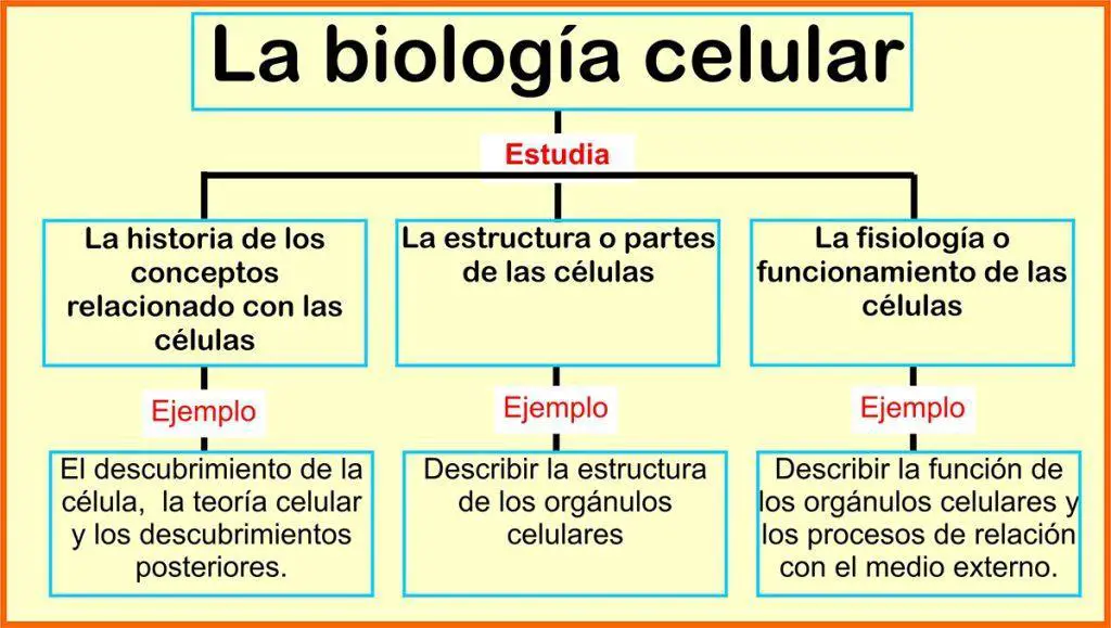 Biología celular