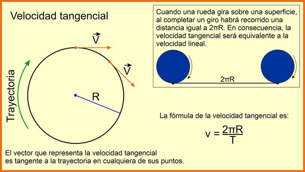 La velocidad angular y la velocidad tangencial