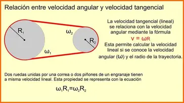 La y la velocidad tangencial (fórmulas y relación)