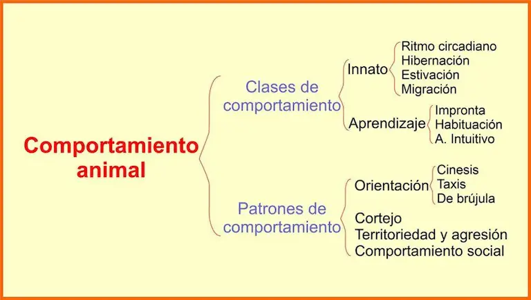 Mapa conceptual de comportamiento animal.