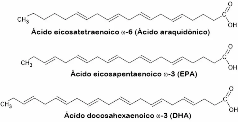 Ácidos grasos esenciales