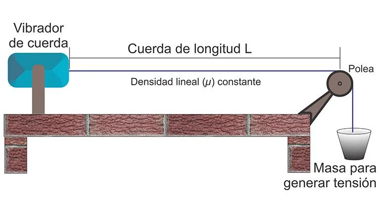 Ondas Estacionarias En Cuerdas Y Tubos. Fórmulas Y Ejemplos