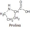 estructura de la prolina