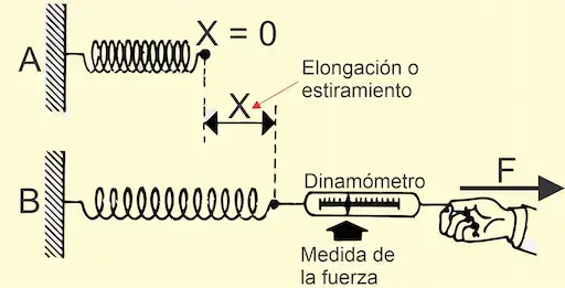 Ley de Hooke