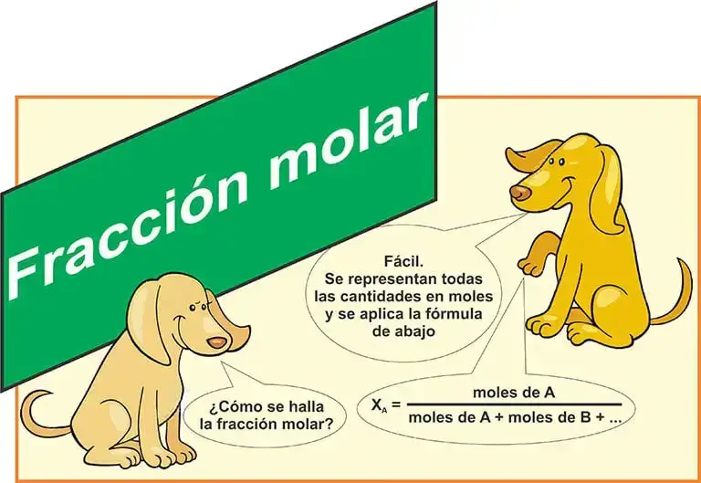 Fracción molar