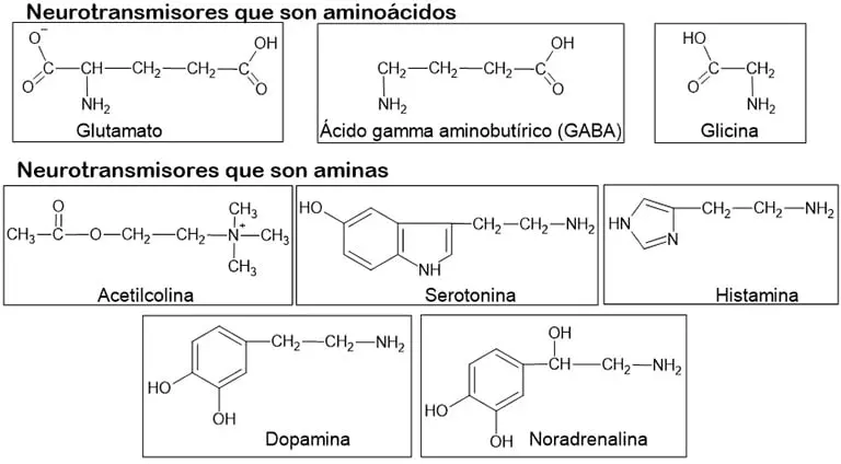 Fórmulas estructurales de algunos neurotransmisores.