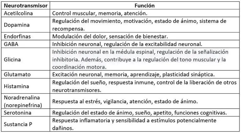 Funciones de algunos neurotransmisores