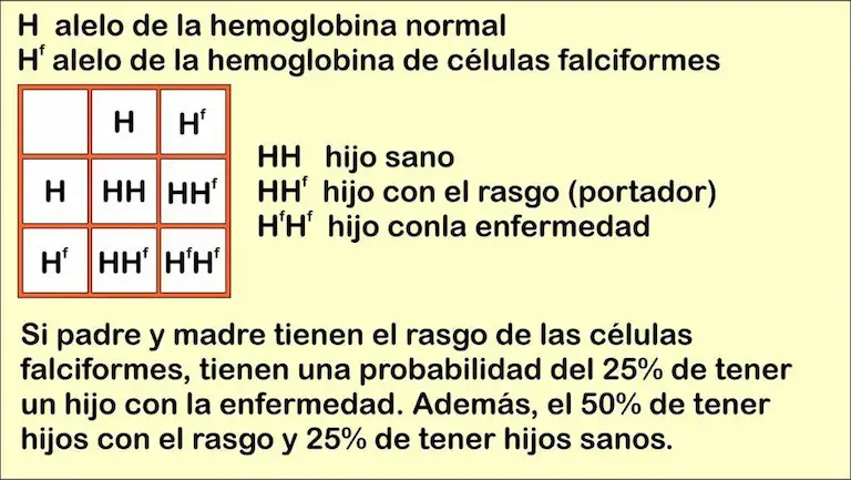 trastornos genéticos