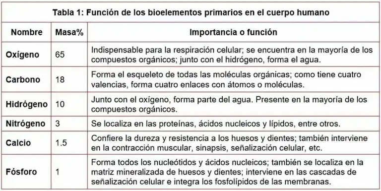 Bioelementos