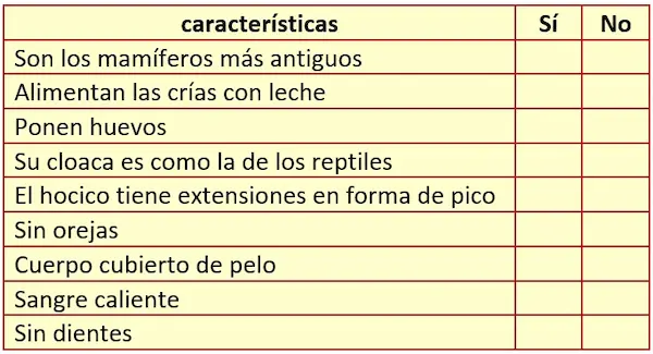 Características de los monotremas